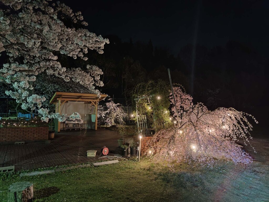 Japan Tag 4 – Von Omishima nach Imabari