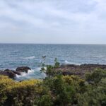 Japan Tag 12 – Von Shirasaki nach Minabe