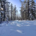 Winter, Haus, Kanadier.